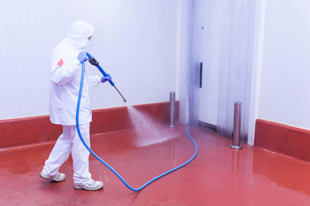 Best Post-Construction Pressure Washing  in East Riverdale, MD